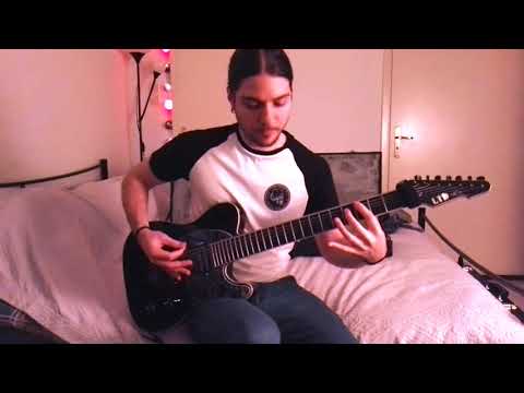Reflections - Shadow Self (Guitar Cover)